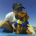 Profile Picture of Ralph Waldo Picklechips (@picklesthewonderpup) on Instagram
