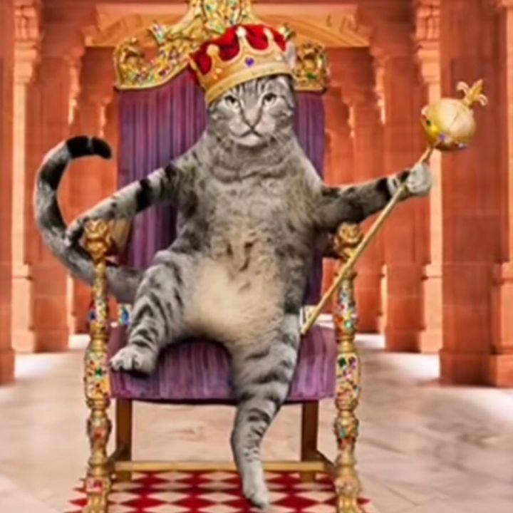 My don - Tiktok Profile Picture of My don (@isaacnickels25) on Tiktok