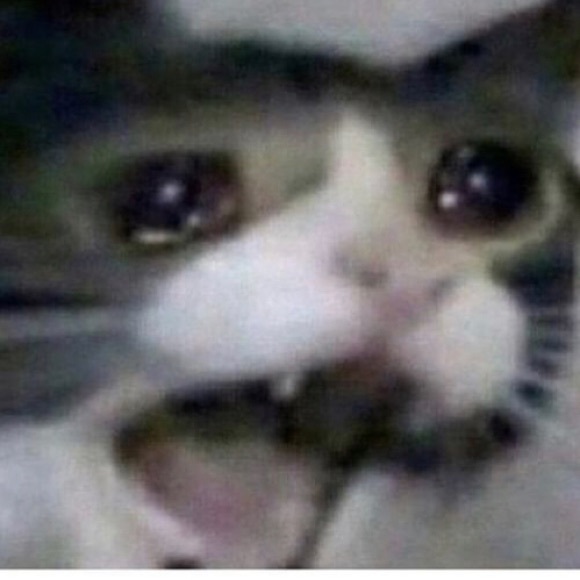 Profile Picture of Jake Benotti (@jakebenotti) on Poshmark