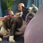 Profile Picture of Dave Rayner (@daverain238) on Instagram