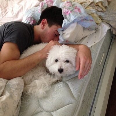 Profile Picture of Adam Shapiro (@ashap44) on Twitter
