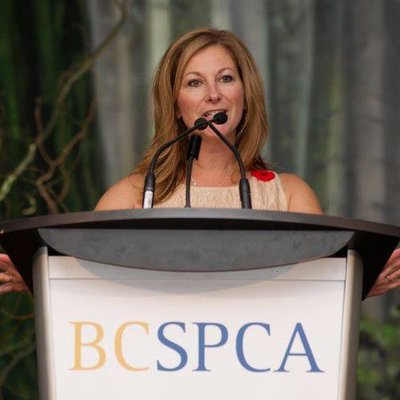 Profile Picture of Suzanne Pugh (@Suzanne_animals) on Twitter