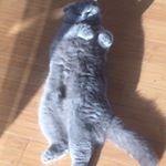 Profile Picture of Gaillard Jerome (@jerome_gaillard) on Instagram