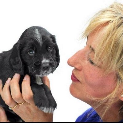 Profile Picture of Gill Lacey (@gilllacey) on Twitter