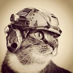 Profile Picture of Paul-Philip Brunson (@lunchbox_thermos) on Instagram