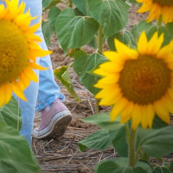 Profile Picture of Zainab Alsaad (@zainabalsaad) on Poshmark