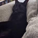 Profile Picture of Tina Stiller (@Tina-Stiller) on Facebook