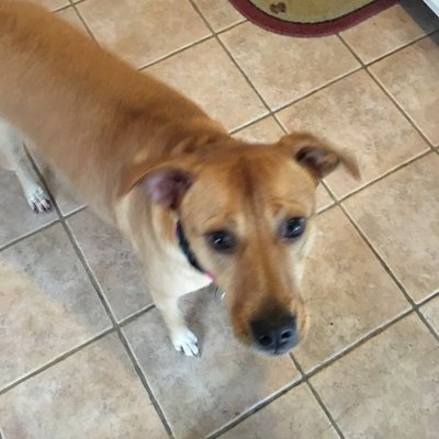 Profile Picture of Joe  Tirabassi (@TirabassiJoe) on Twitter