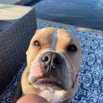 Profile Picture of Tyler Stiteler (@tyler_stiteler_) on Instagram