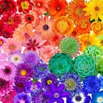 Profile Picture of Maryellen Baumgardner (@Maryellen-Baumgardner) on Facebook