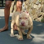 Profile Picture of Jerk Hen Tesch Keneel (@jerkhentesch) on Instagram