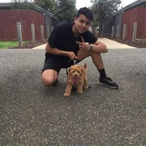 Profile Picture of Sam Farag (@SamFarag2) on Twitter