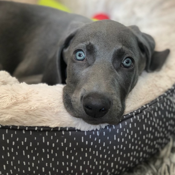 Profile Picture of Mark Koski (@m44km44k) on Poshmark