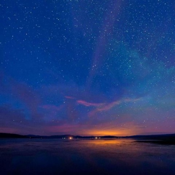 Profile Picture of Thy khoaitay Kim (@tinatran8886) on Poshmark