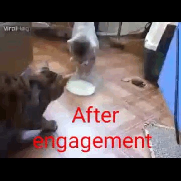 Profile Picture of Zee Zee (@zee22110) on Poshmark