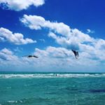 Profile Picture of Tamas Doffek (@tamasdoffek) on Instagram