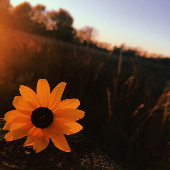 Profile Picture of Ashlynn Akey (@ashlynn9101) on Poshmark