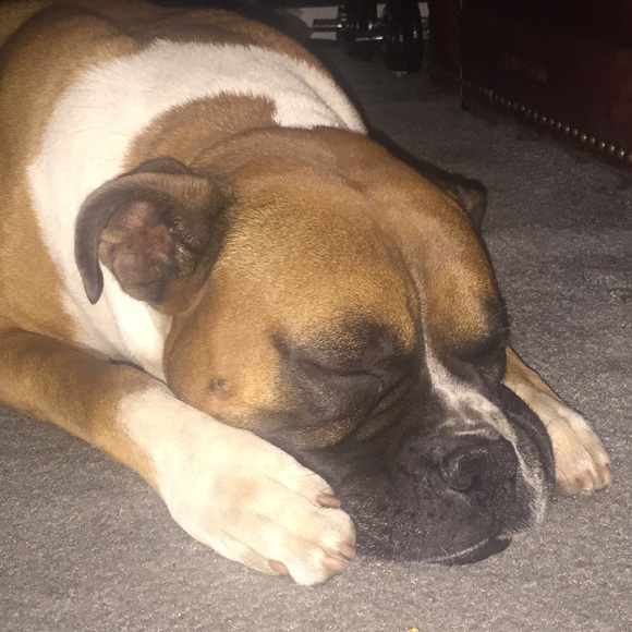 Profile Picture of Danny Carrillo (@dan80) on Poshmark