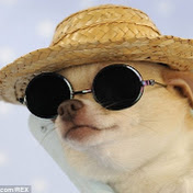 Profile Picture of Mari Rivera (@astronaugh_t) on Youtube