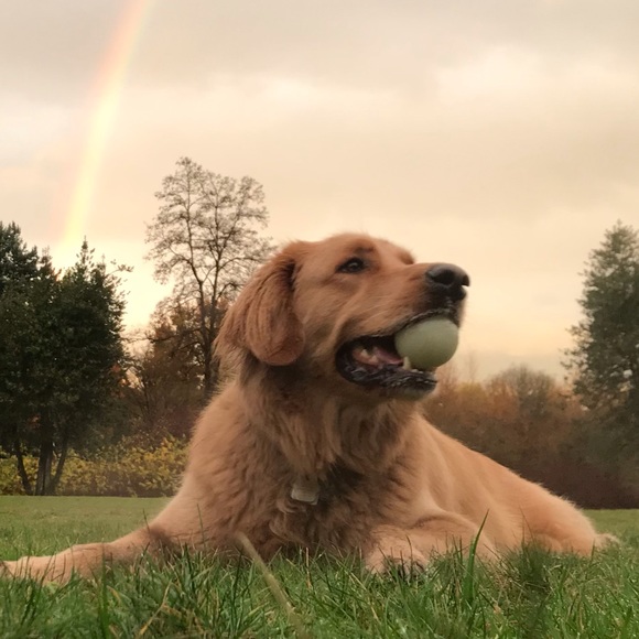 Profile Picture of Luke Vanderzalm (@lzalm) on Poshmark