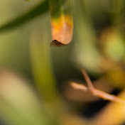 Profile Picture of Andrew Dunkin (@andrewdunkin8978) on Youtube