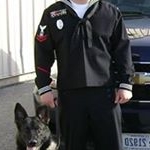 Bradley Frantz - Instagram Profile Picture of Bradley Frantz (@bradleyfrantz) on Instagram