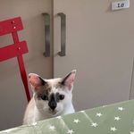 Andrew Francis - Instagram Profile Picture of Andrew Francis (@_aa_francis) on Instagram