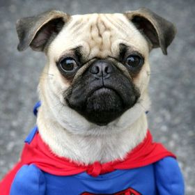 Profile Picture of Pablo Bernardino (@pablobernardino) on Pinterest