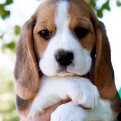 Profile Picture of J. Ric McCray (@juan4ric) on Twitter