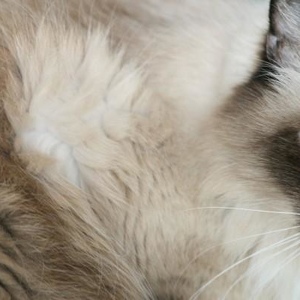 Macy Locke - Myspace Profile Picture of Macy Locke (@macylocke) on Myspace