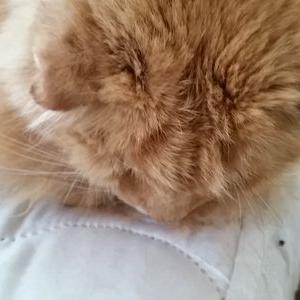 Profile Picture of Barry Perri (@zenyatta0410) on Twitter