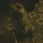 Profile Picture of Owen Ocallaghan (@owen.ocallaghan.794) on Instagram