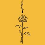 Profile Picture of Luiza Rosa (@arosaqueplantei) on Instagram