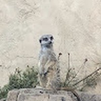Profile Picture of Matthew Eger (@matthew-eger-4) on Quora
