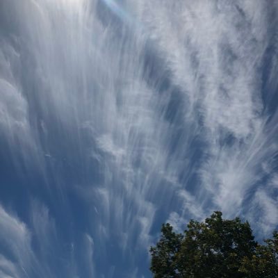 Profile Picture of J Philip Nester (@JPhilipNester) on Twitter