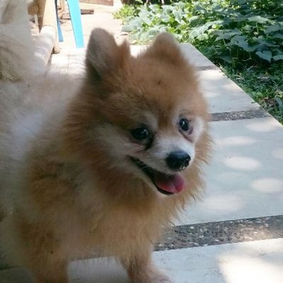 G - Twitter Profile Picture of G (@tjong_lisa) on Twitter