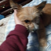 Profile Picture of Elijah Vaughn (@ElijahVaughn-ko2fi) on Youtube