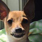 Profile Picture of Amy Gobin (@agob2017) on Instagram