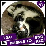 Profile Picture of Sharon Sirois Keeney (@kiddo563) on Instagram