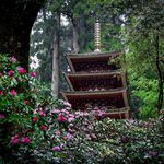 Profile Picture of richard_kei (@richard_kei) on Instagram