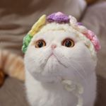 Profile Picture of Snoopybabe (@snoooopybabe) on Instagram