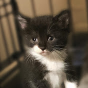 Profile Picture of Linda Delgado (@TuesdayBrunch) on Youtube