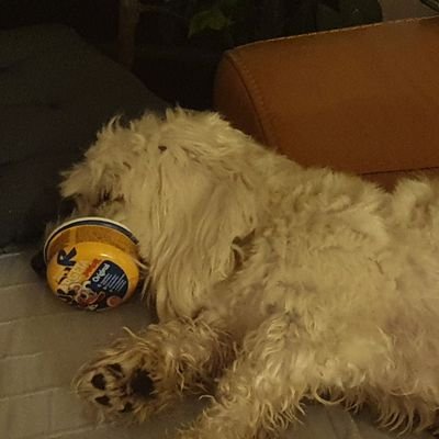 Profile Picture of Zoltan Takacs (@ZoltanT38074659) on Twitter