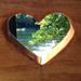 Profile Picture of Vicki Land (@reader5) on Pinterest