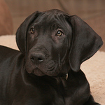 Profile Picture of James Cox (@jp cox) on Flickr