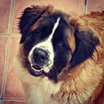 Profile Picture of david (@david_arjona78) on Instagram