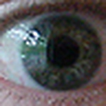 Profile Picture of Charles Mitchell (@ch_in_carrboro) on Flickr