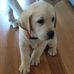 Profile Picture of Sally Engeman (@sally.engeman.71) on Facebook
