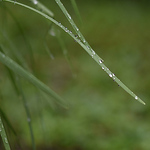 Profile Picture of William Miles (@williammiles3) on Flickr