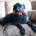 Profile Picture of Craig Goodall (@craig.goodall.5201) on Facebook